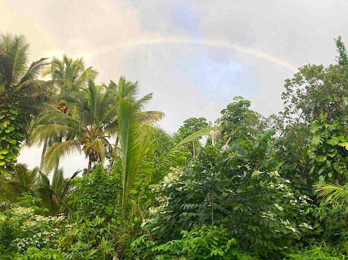 Seaside House And Aloha Bungalow Pahoa 外观 照片