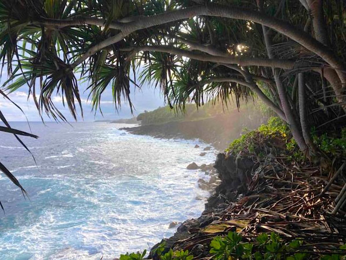 Seaside House And Aloha Bungalow Pahoa 外观 照片