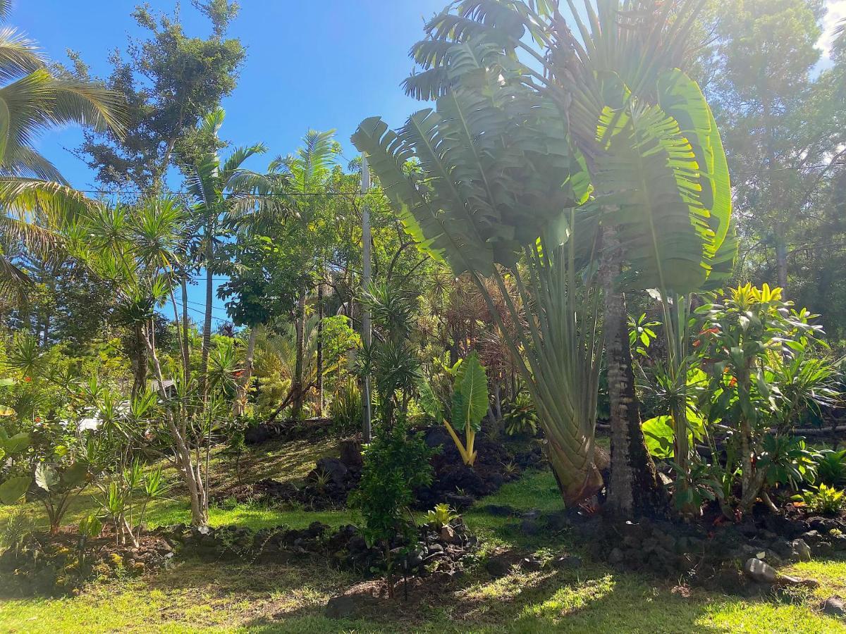 Seaside House And Aloha Bungalow Pahoa 外观 照片