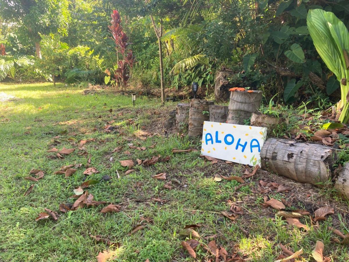 Seaside House And Aloha Bungalow Pahoa 外观 照片