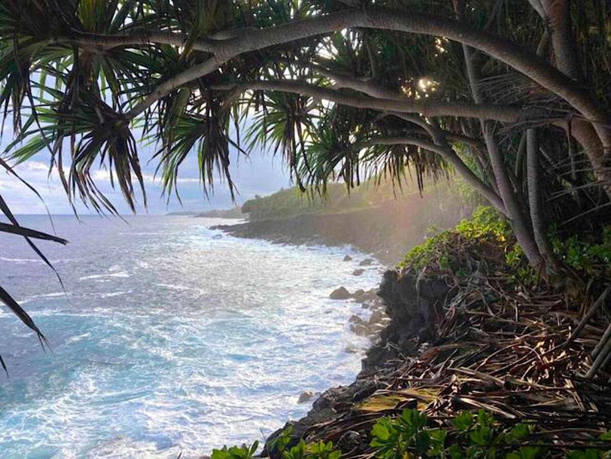 Seaside House And Aloha Bungalow Pahoa 外观 照片